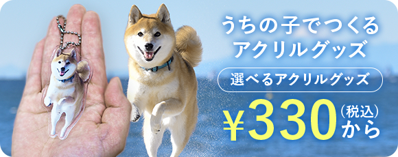 うちの子でつくるアクリルグッズ