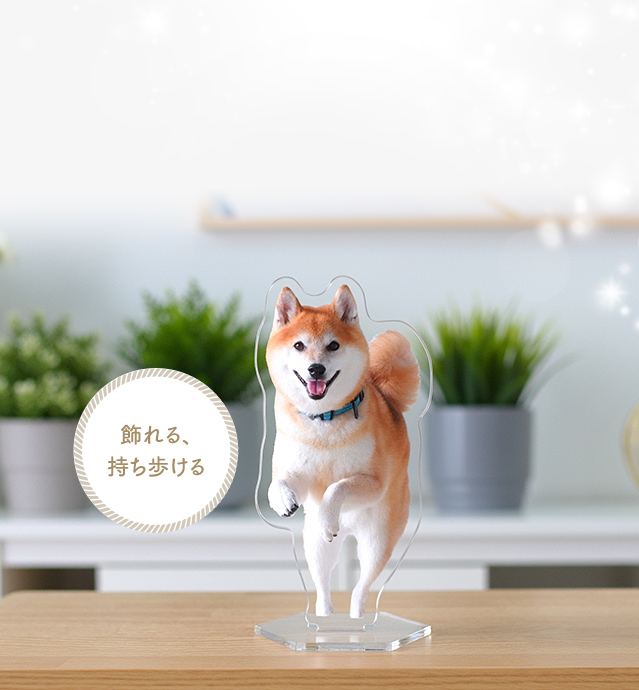 飾れる、持ち歩ける