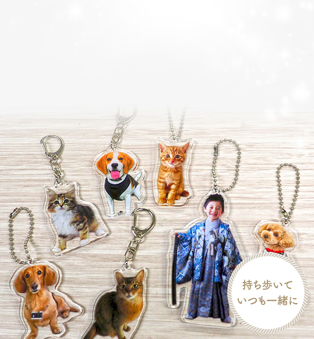 持ち歩いて いつも一緒に